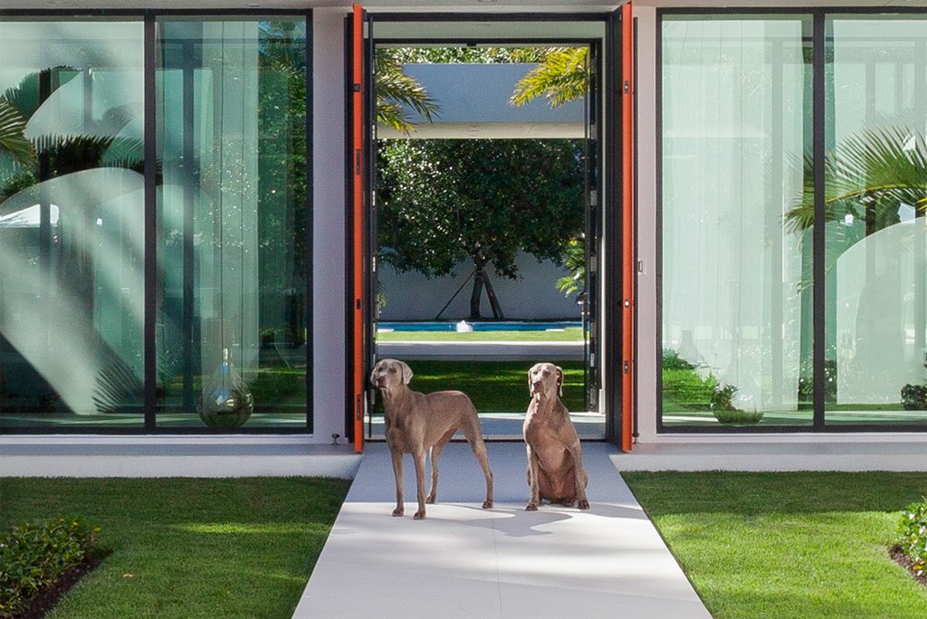 Mid Century Modern Home Design Dogs